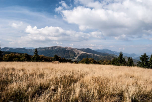 herbst bergwiese mit hügeln im hintergrund - zvolen stock-fotos und bilder