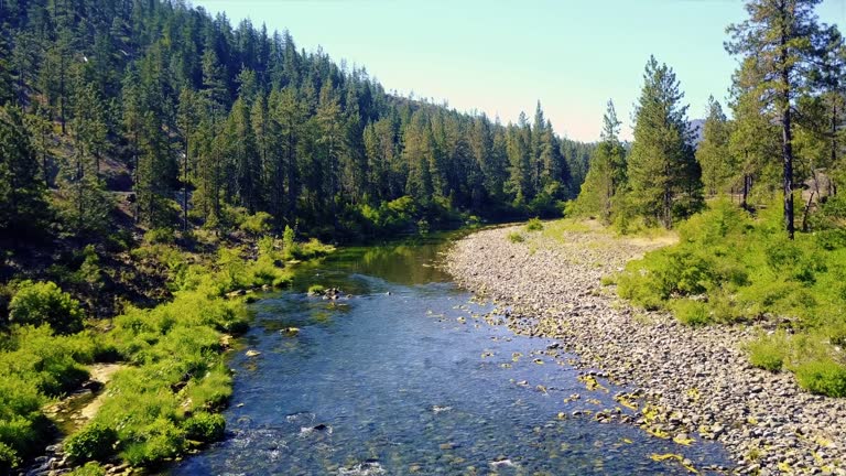 Drone Flying Over Stream of Water 4K