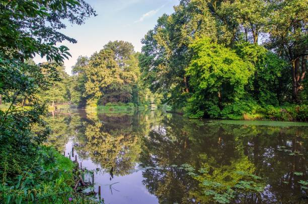 istock Summer urban landscape. 864409850