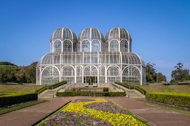 クリチバ植物園 - クリチバ、パラナ州、ブラジルの温室効果 - curitiba ストックフォトと画像