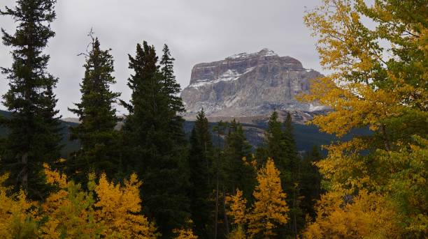 istock Fall Colors at Chief Mountain, Northside 864415724
