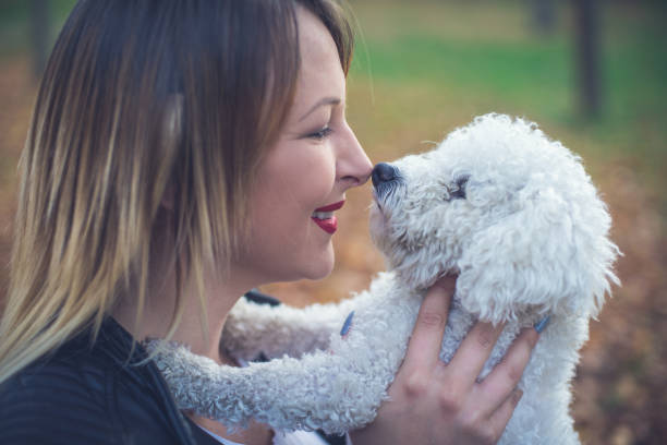 istock Cute female with Bichon frise 864415836