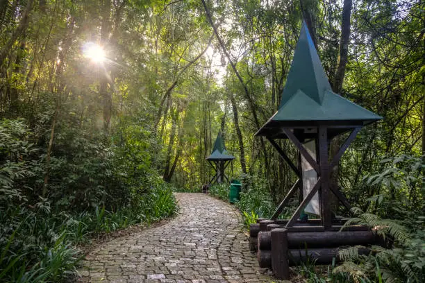 Hensel and Gretel Trail (Trilha Joao e Maria) of Bosque Alemao (German Forest Park) - Curitiba, Parana, Brazil