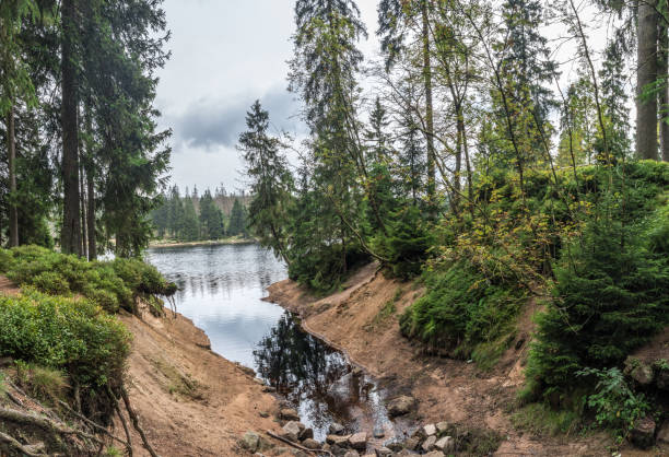 istock The Silberteich lake  in Harz, Germany 864418260