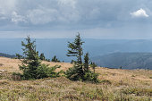 die-landschaft-des-berges-im-harz-deutschland.jpg?b=1&s=170x170&k=20&c=LA055p2s24MUwtz0eViW7WEyw9UrxSaQeGyxWT6O5ao=