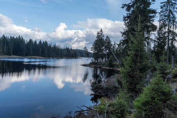 istock The Silberteich lake  in Harz, Germany 864419386