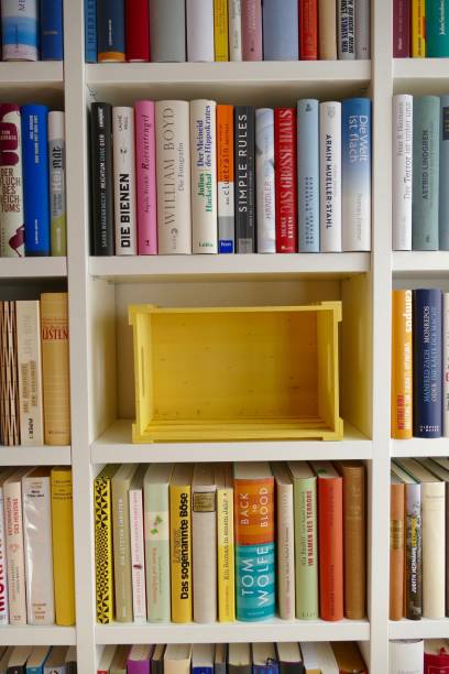 istock Organizing the Ibrary: full and empty shelves 864421956