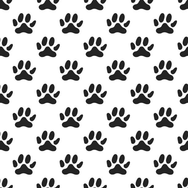 ilustraciones, imágenes clip art, dibujos animados e iconos de stock de lindo mano dibujado vivero de patrones sin fisuras con pista perro en estilo escandinavo. ilustración de vector monocromo - dog baby t shirt child