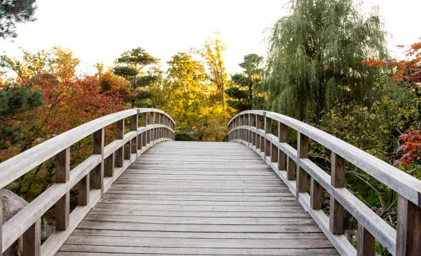 Photo of Wooden tables bridge, with perfect circular shape, leading to an autumn garden.