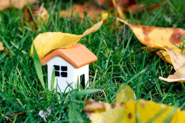 istock puppet house on green grass under autumn yellow leaf, close up 864423248