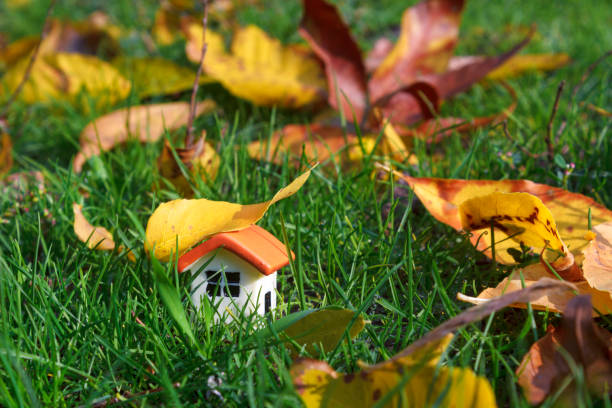 istock puppet house on green grass under autumn yellow leaf 864423254