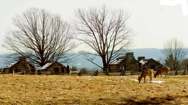 Valley Forge, Pennsylvania, is the nationally significant site of the 1777-78 winter encampment of George Washington's  Continental Army. One of many troop cabins in the park at a background to the many whitetail deer who browse here.