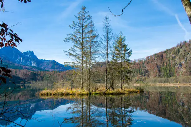 Island in a mountain lake in autumn, almsee in austria