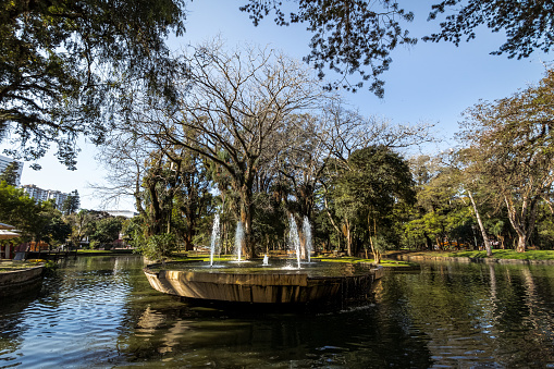 Passeio Publico Parque - Curitiba, Paraná, Brasil photo