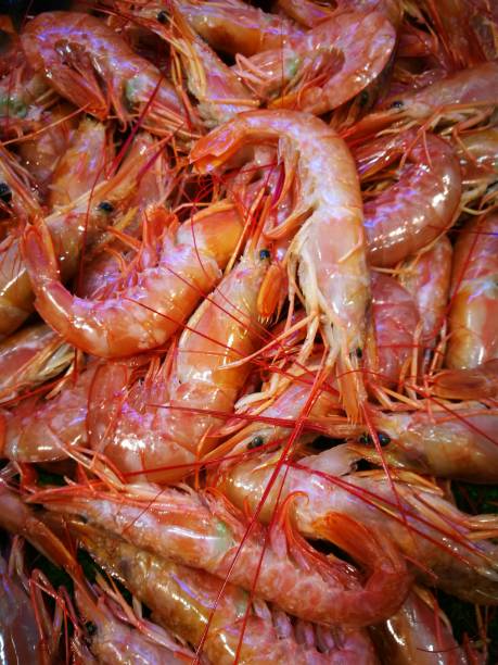 istock Shrimp in fish market 864428820