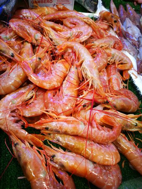 Fresh prawns and other seafood on ice for sale at an outdoor market.
