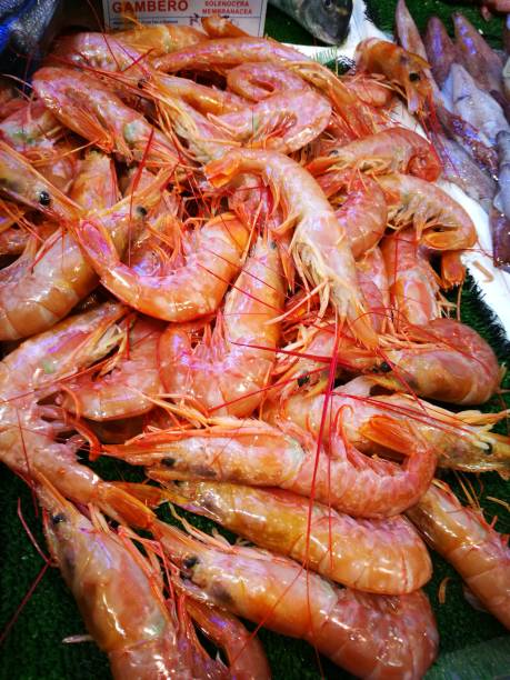 Shrimp in fish market stock photo