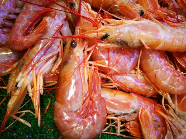 istock Shrimp in fish market 864428860