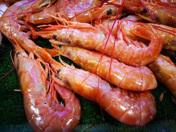 istock Shrimp in fish market 864428864