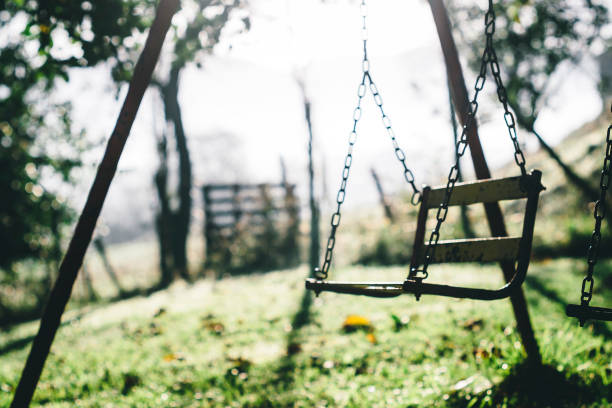 istock Old swing toy game on a green park sunrise 864429808
