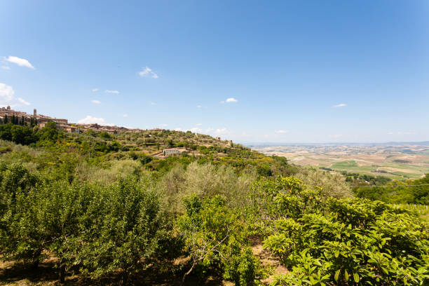 istock Montalcino view, tuscany, Italy 864430458