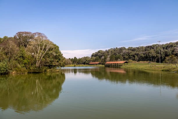 istock Tingui Park - Curitiba, Parana, Brazil 864435024