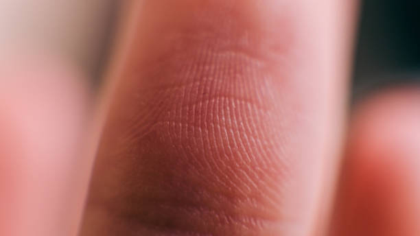 istock macro  photo fingerprint close-up. Finger skin texture 864438218