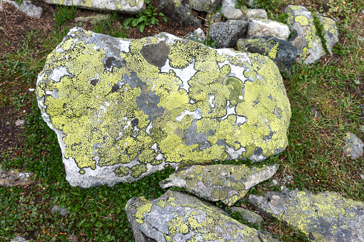 Photograph of sea rock texture