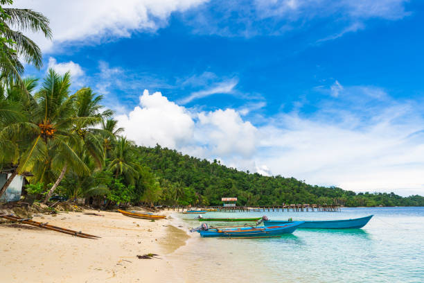 istock Beach in Raja Ampat, West Papua, Indonesia. 864440488