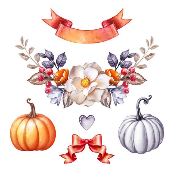 illustrazioni stock, clip art, cartoni animati e icone di tendenza di ghirlanda floreale autunnale, bouquet, botanico, striscione nastro rosso, zucche, arco, fiori autunnali, illustrazione acquerello, clipart isolata su sfondo bianco - bride backgrounds white bouquet