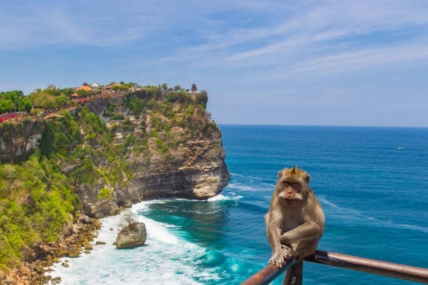 tempio di uluwatu. bali, indonesia. - bali temple landscape seascape foto e immagini stock