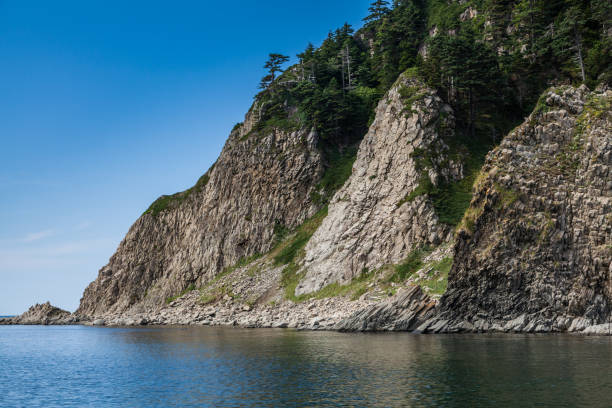 istock Cape Stolbchaty, Kunashir island, Russia 864444894