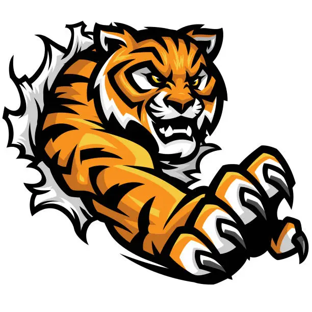 Vector illustration of Tiger Tear sport kit