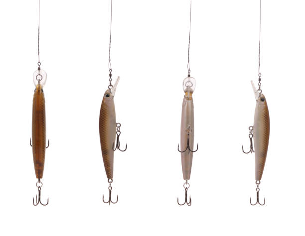istock Four fishing wobbler 864445054