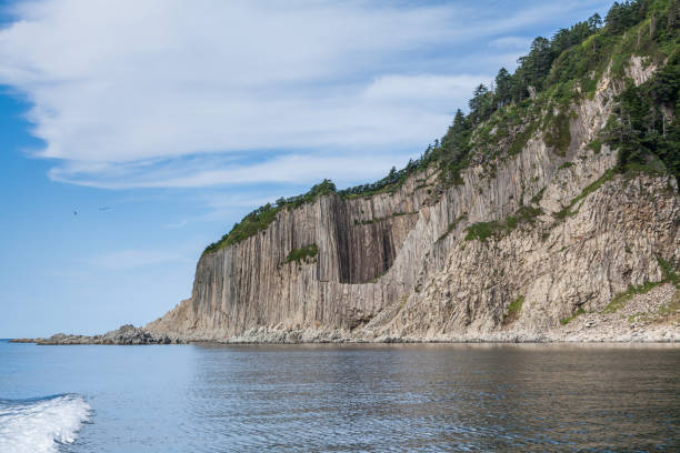 istock Cape Stolbchaty, Kunashir island, Russia 864445222