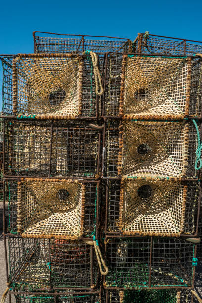 istock Traps for catching octopus and fish in the sea, close-up. 864448140