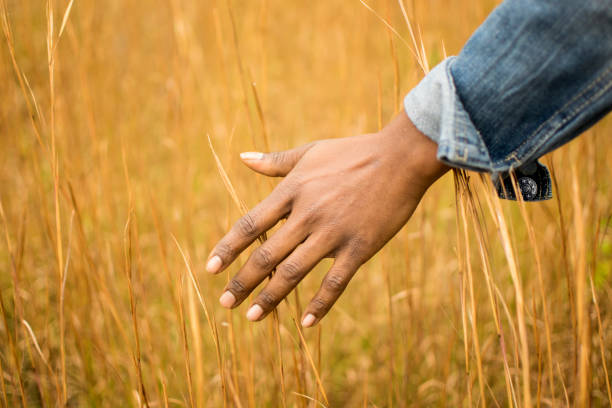 A close up of Jacky's hand as she runs it across the tips of the grass in a meadow....