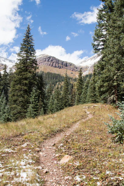 istock West Lime Creek trail near Silverton, Colorado 864461164