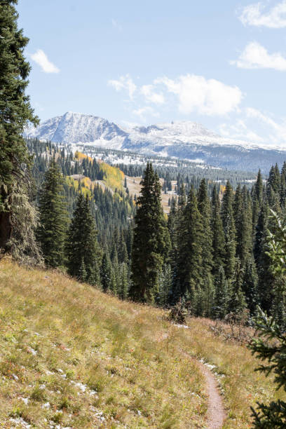 istock San Juan mountains in the autumn 864461180