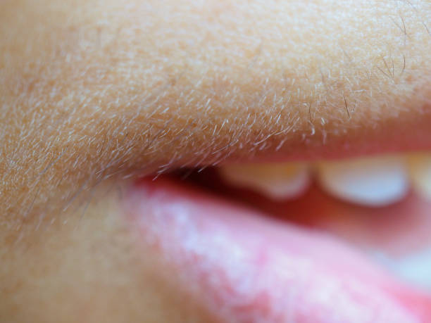Macro small white mustache over corner woman mouse Macro close up small young white and black mustache hair above blurred pink lip mouth and white teeth corner, from Thai Asian Mongoloid yellow skin people facial hair stock pictures, royalty-free photos & images