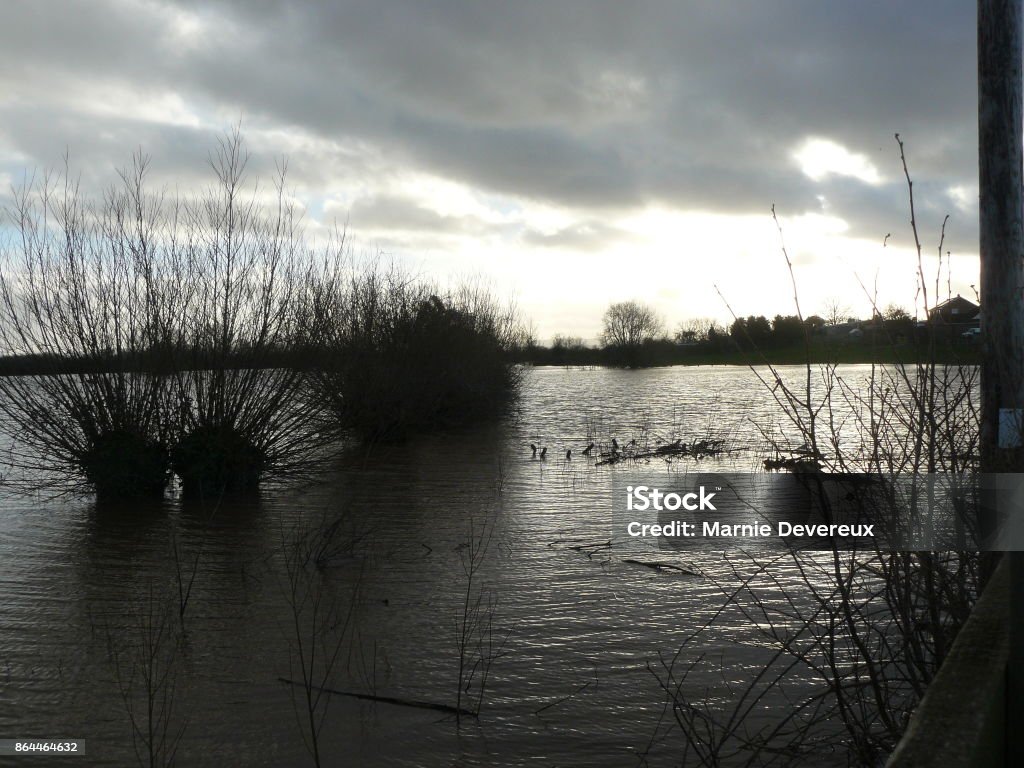 Somerset levels Flooding on the Somerset Levels in March 2014. Trees, gates and fences submerged. Somerset Levels Stock Photo