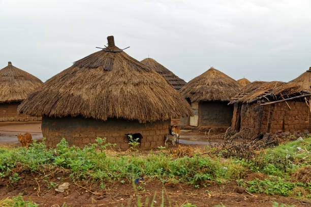 istock African Huts on a Rainy Day in Uganda 864464652