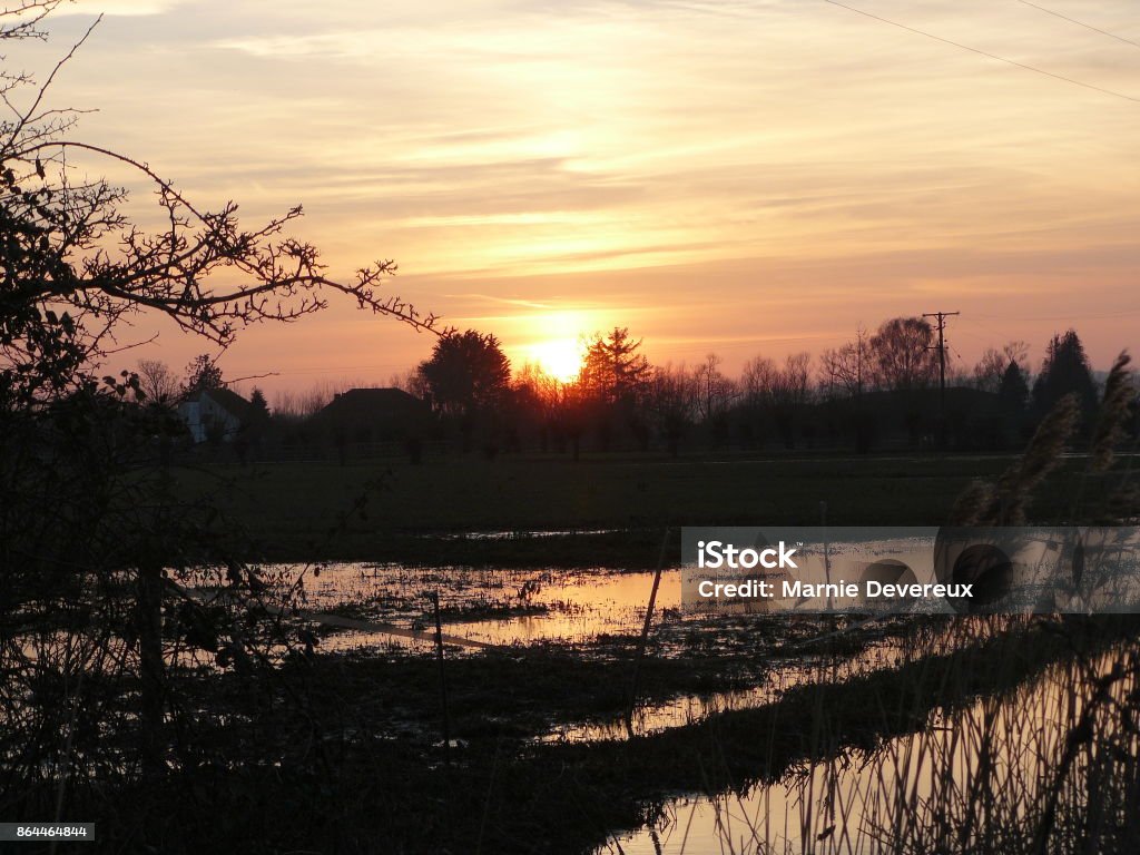 Somerset levels The sun sets over flooding on the Somerset Levels in March 2014. Trees, gates and fences submerged. Somerset Levels Stock Photo