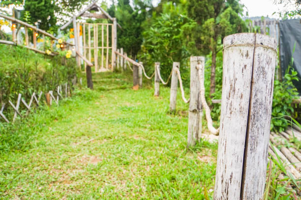 postes de bambú de enfoque selectivo y valla en el jardín en patio trasero - wooden post wood grass string fotografías e imágenes de stock