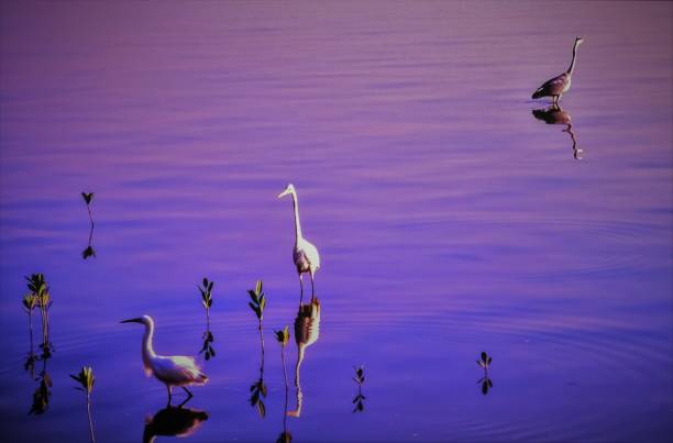 istock Tamsui Riverside of Taiwan, Idyllic scenery 864467012