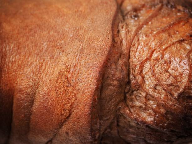 istock Braised pork Chinese food 864467718