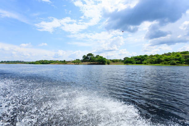 istock Panorama from Amazon rainforest, Brazilian wetland region. 864467908