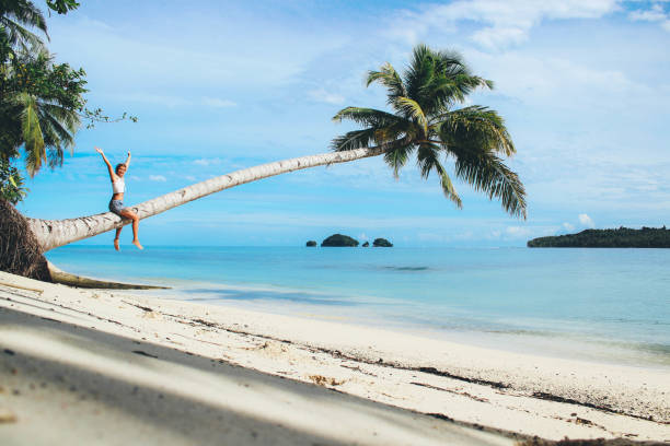 istock Palm trees on beautiful island 864468494