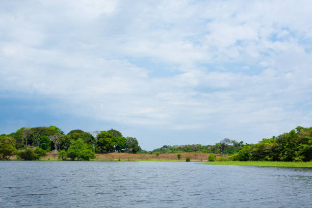 istock Panorama from Amazon rainforest, Brazilian wetland region. 864469202