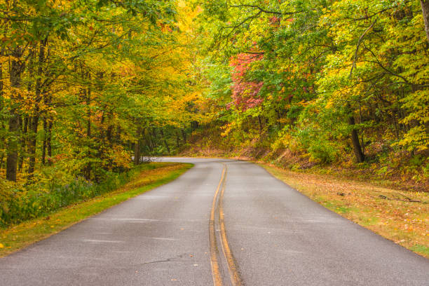 istock Autumn Country Road 864471130